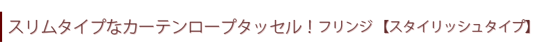 スタイリッシュタイプ