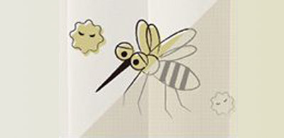 虫を寄せ付けない特殊加工がされたカーテン