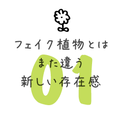 フェイク植物とはまた違う新しい存在感