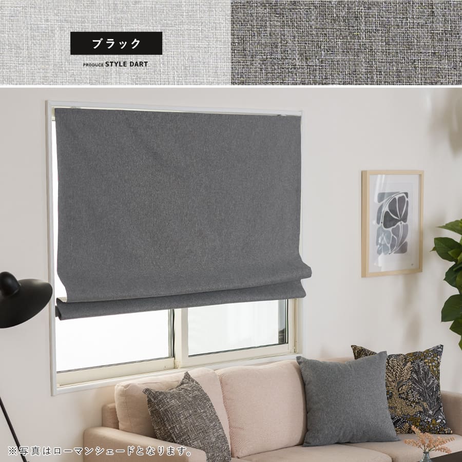 シェードカーテン ブラック